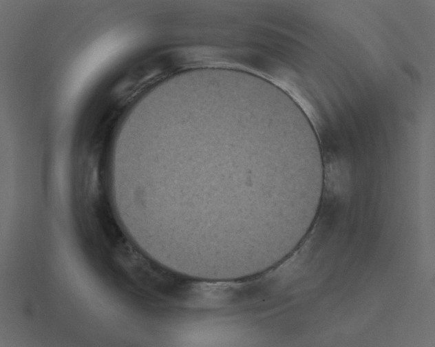 X0000116571150200912241629