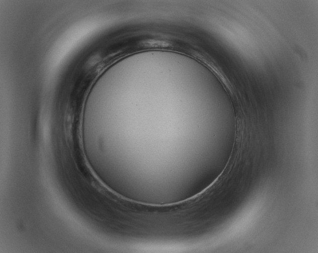 X0000116571151200912241629