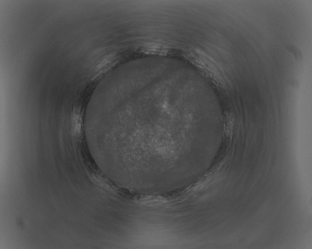 X0000116571154200912241629