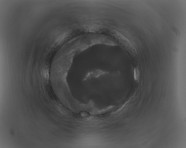 X0000116571155200912241629