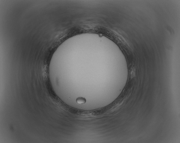 X0000116571156200912241629