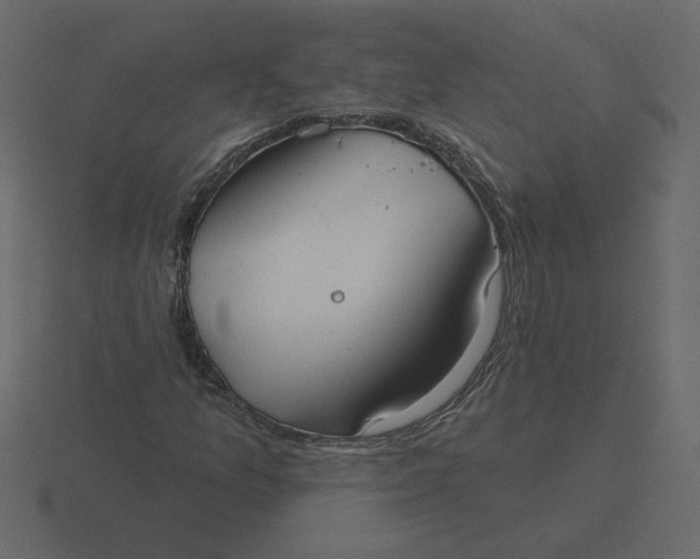 X0000116571157200912241629