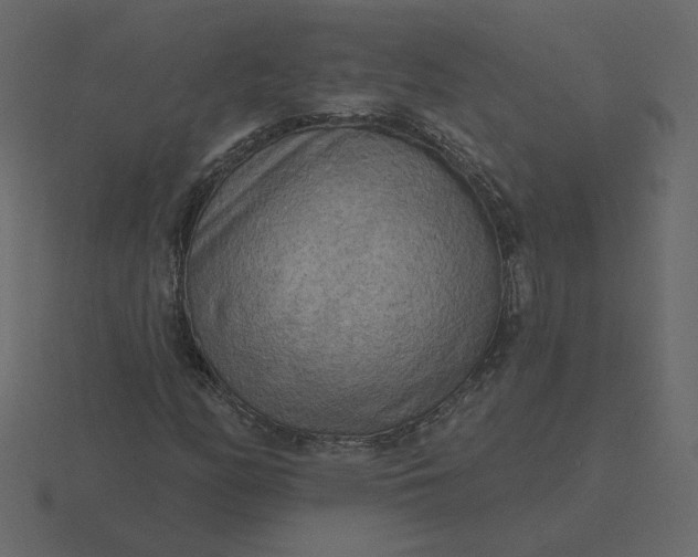 X0000116571158200912241629