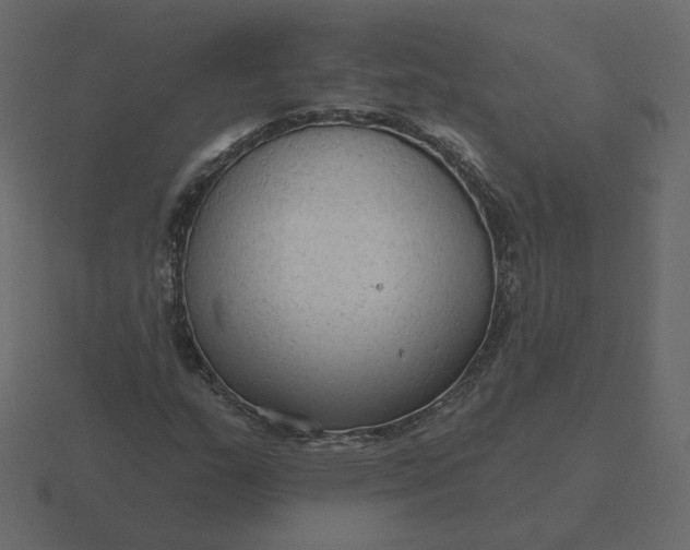 X0000116571159200912241629