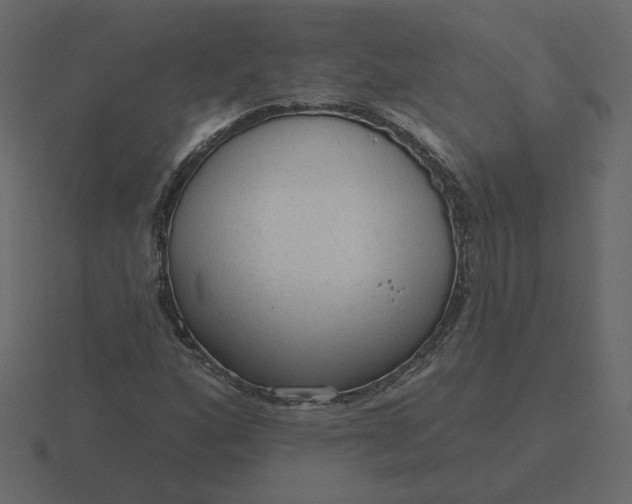 X0000116571160200912241629