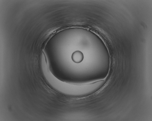 X0000116571161200912241629