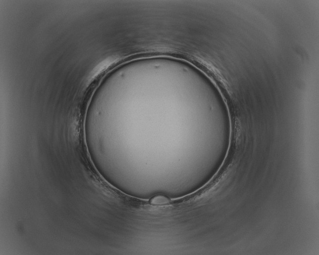 X0000116571163200912241629