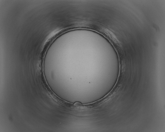 X0000116571164200912241629