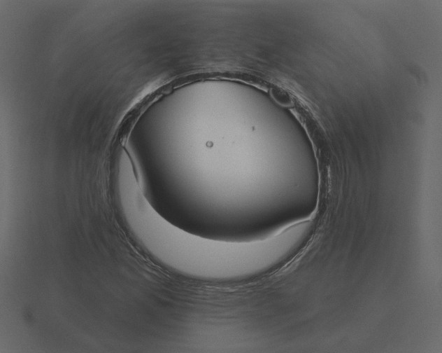 X0000116571165200912241629