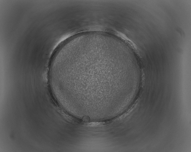 X0000116571166200912241629