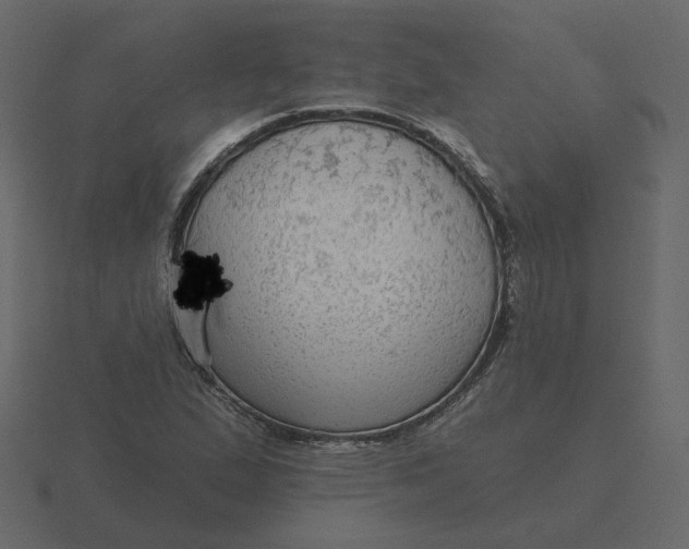 X0000116571167200912241629