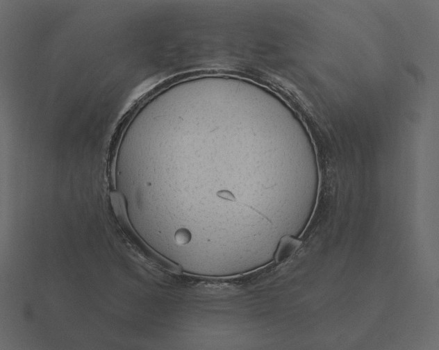 X0000116571168200912241629