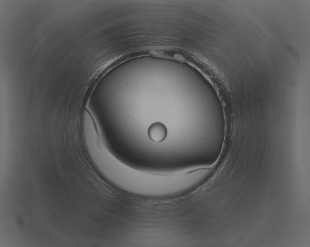 X0000116571169200912241629