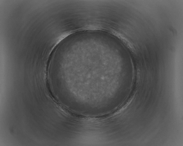 X0000116571170200912241629