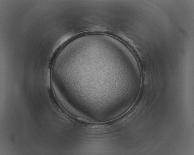 X0000116571171200912241629