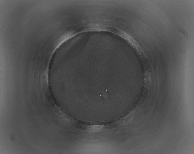 X0000116571173200912241629