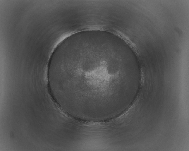 X0000116571174200912241629