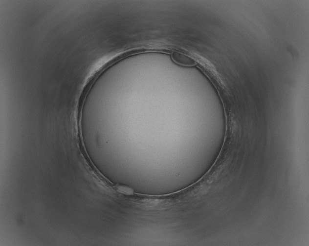 X0000116571176200912241629