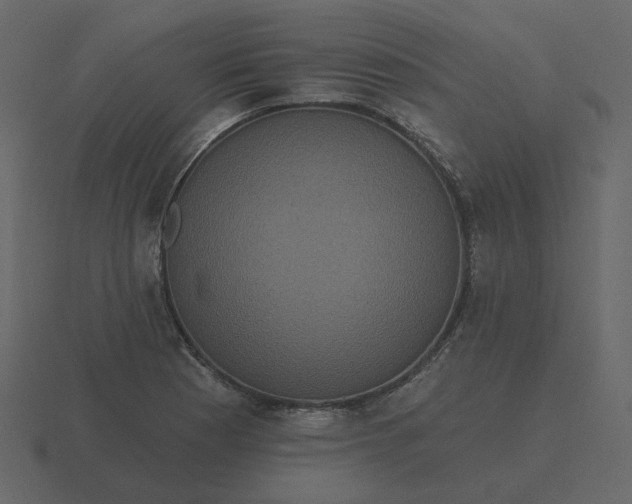 X0000116571177200912241629