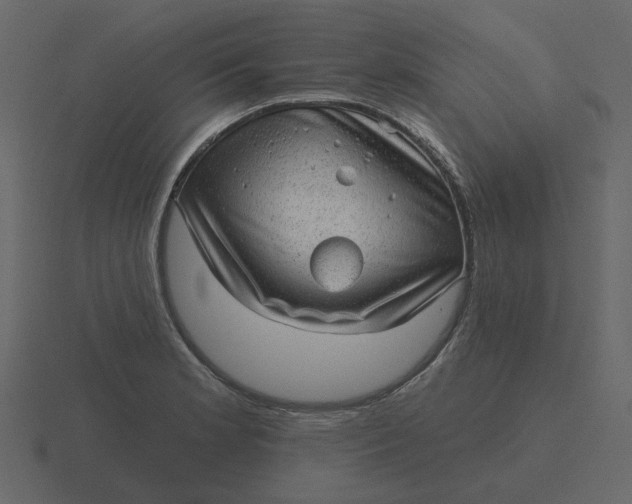 X0000116571181200912241629