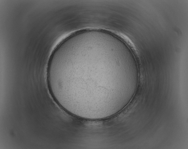 X0000116571183200912241629