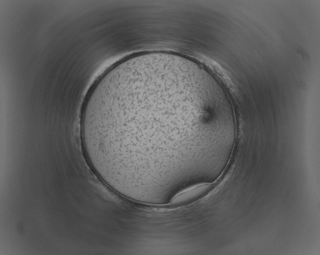 X0000116571184200912241629