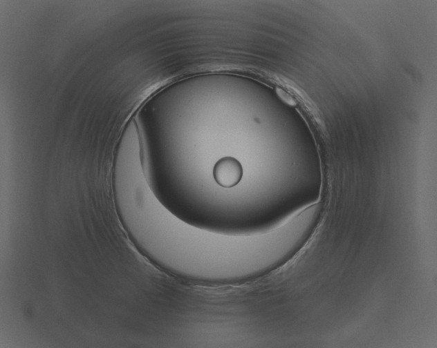 X0000116571185200912241629