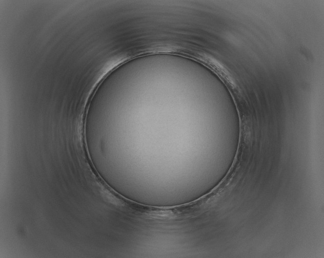 X0000116571186200912241628