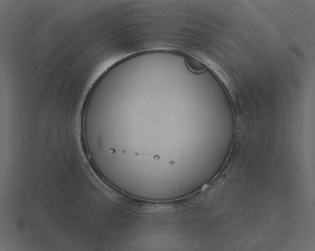 X0000116571187200912241628