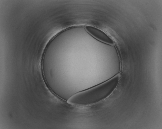 X0000116571189200912241628