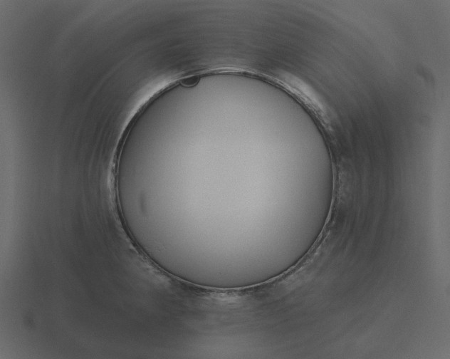 X0000116571190200912241628