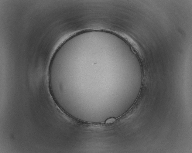 X0000116571191200912241628