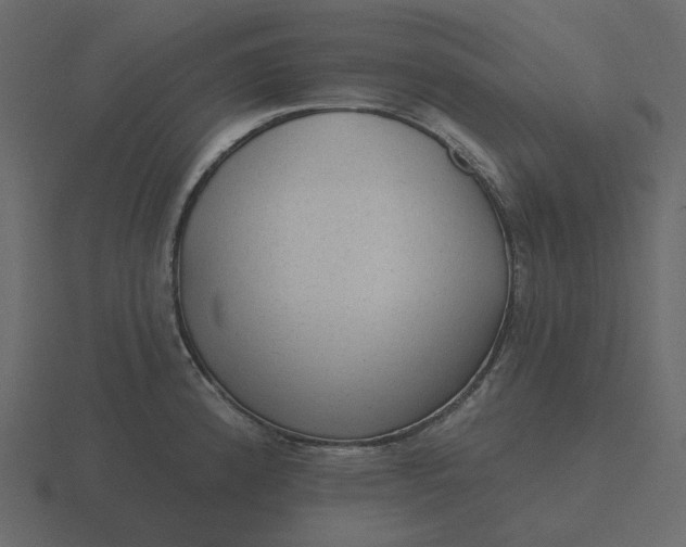 X0000116571192200912241628