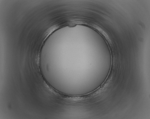 X0000116571193200912241628