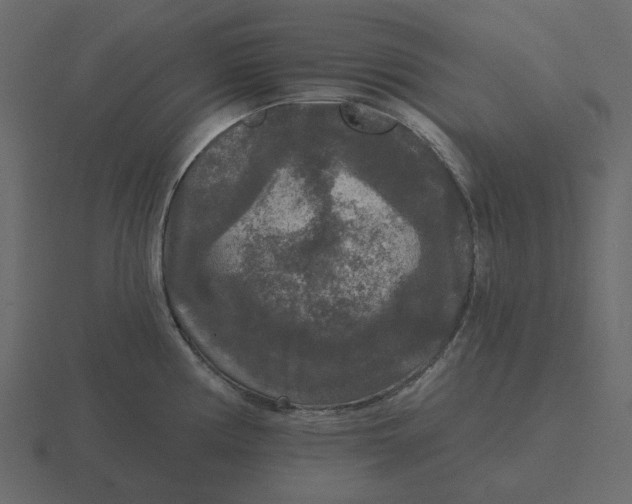 X0000116571194200912241628