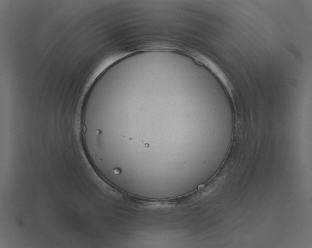 X0000116571195200912241628