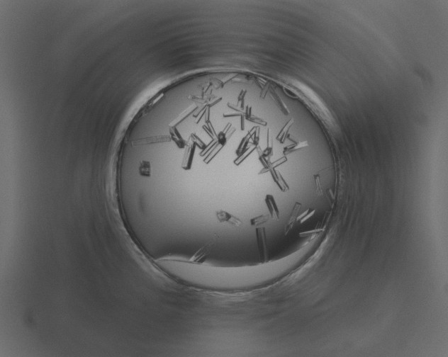 X0000116571196200912241628