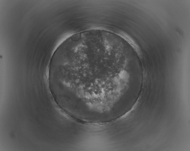 X0000116571198200912241628