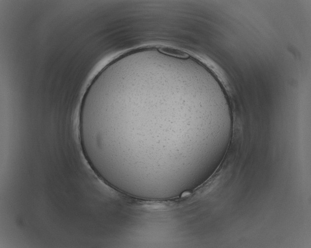 X0000116571199200912241628