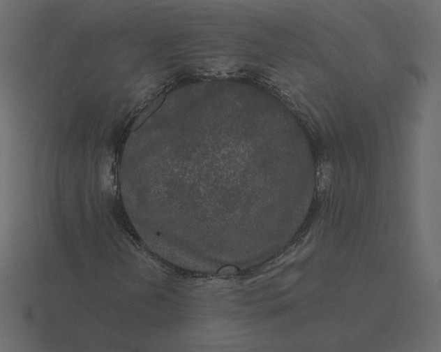 X0000116571202200912241628