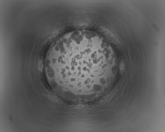 X0000116571204200912241628