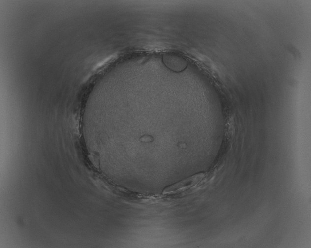 X0000116571205200912241628