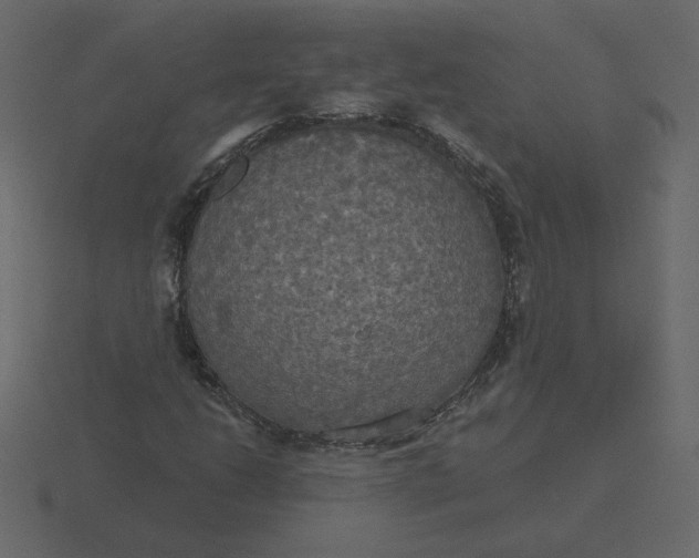 X0000116571206200912241628