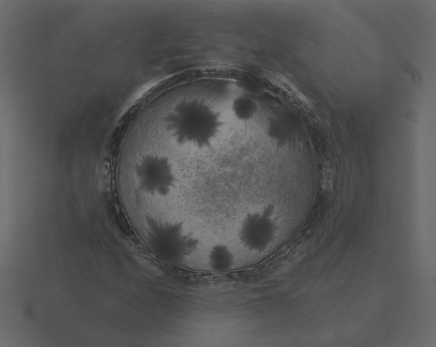 X0000116571208200912241628