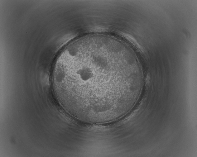 X0000116571209200912241628