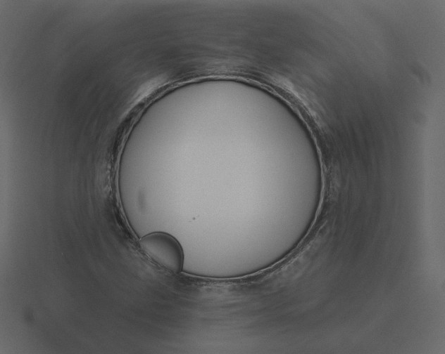 X0000116571211200912241628