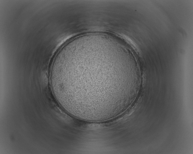 X0000116571212200912241628