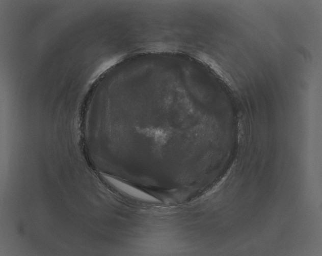 X0000116571213200912241628