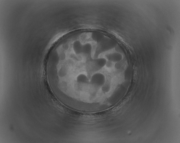 X0000116571215200912241628