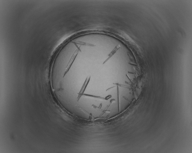 X0000116571216200912241628